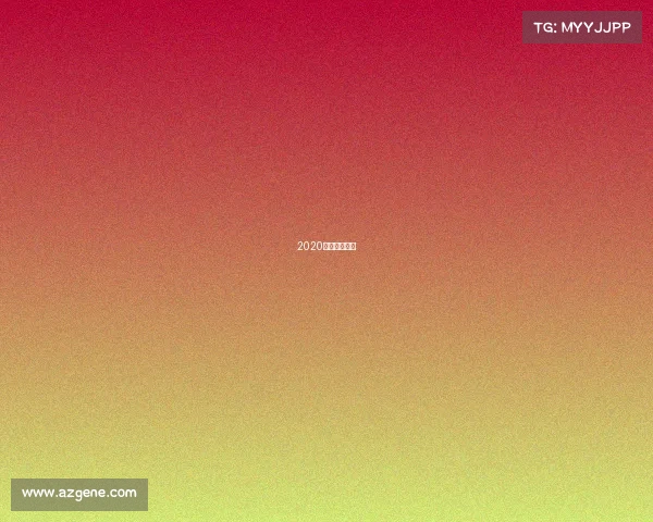 2020年散打冠军赛