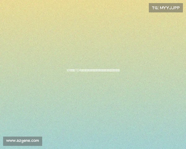 tdt线下赛TDA赛事规则深度解析掌握核心要点实战应用与策略优化指南