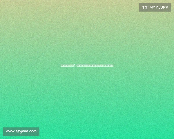 中国真功夫最新一期1(中华武术巅峰对决中国真功夫大赛激情开赛见证高手争霸)