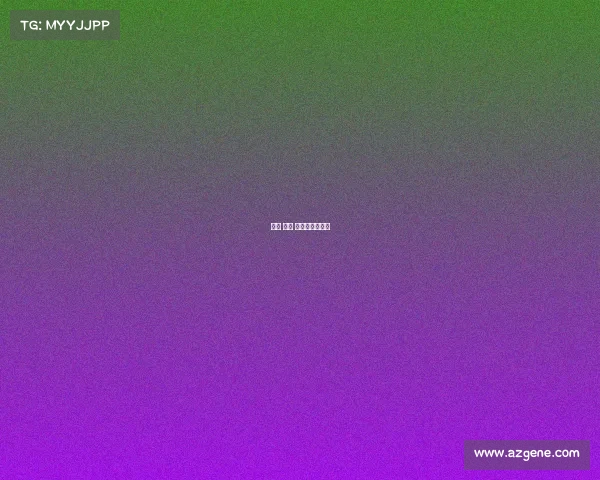 拳击 赛事 合作、拳击竞赛